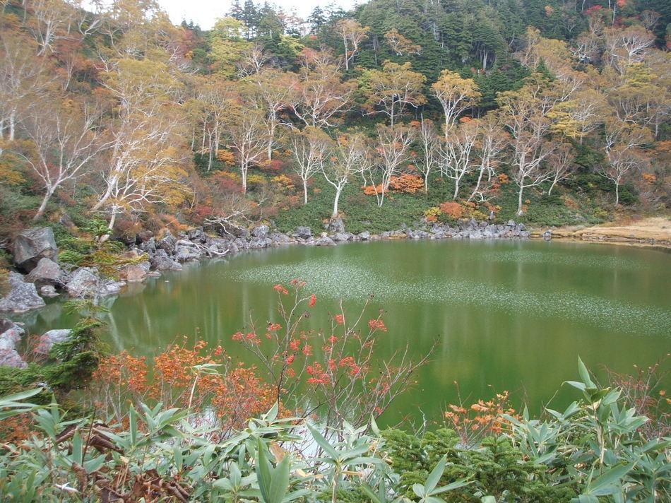 Natural Pension Pumpkin Otari Dış mekan fotoğraf