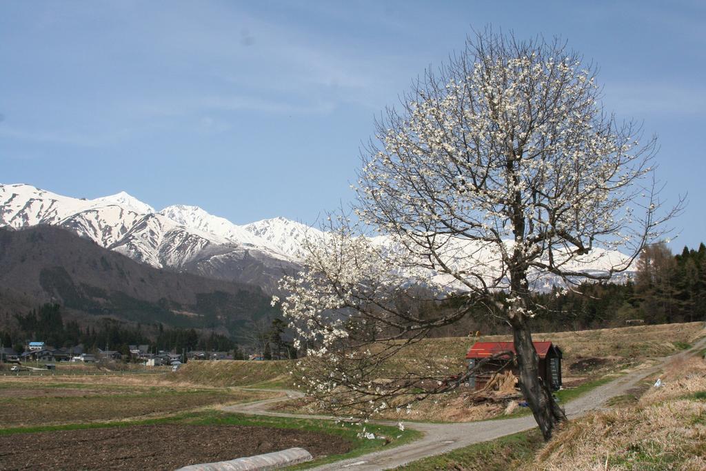 Natural Pension Pumpkin Otari Dış mekan fotoğraf
